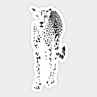 Cheetah Full Figure, Front on View  | African Wildlife Sticker